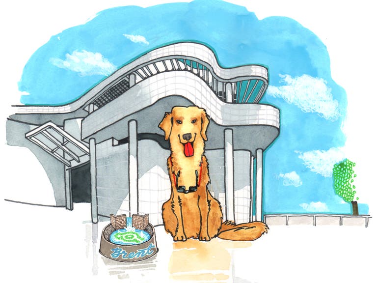 Golden Retriever at the Getty Center in Brentwood | Illustration by Max Kornell