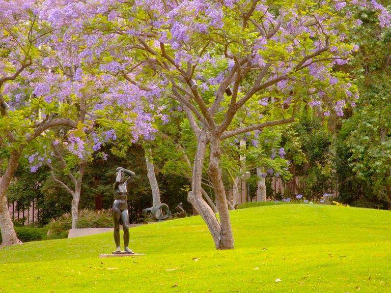 Franklin D. Murphy Sculpture Garden at UCLA